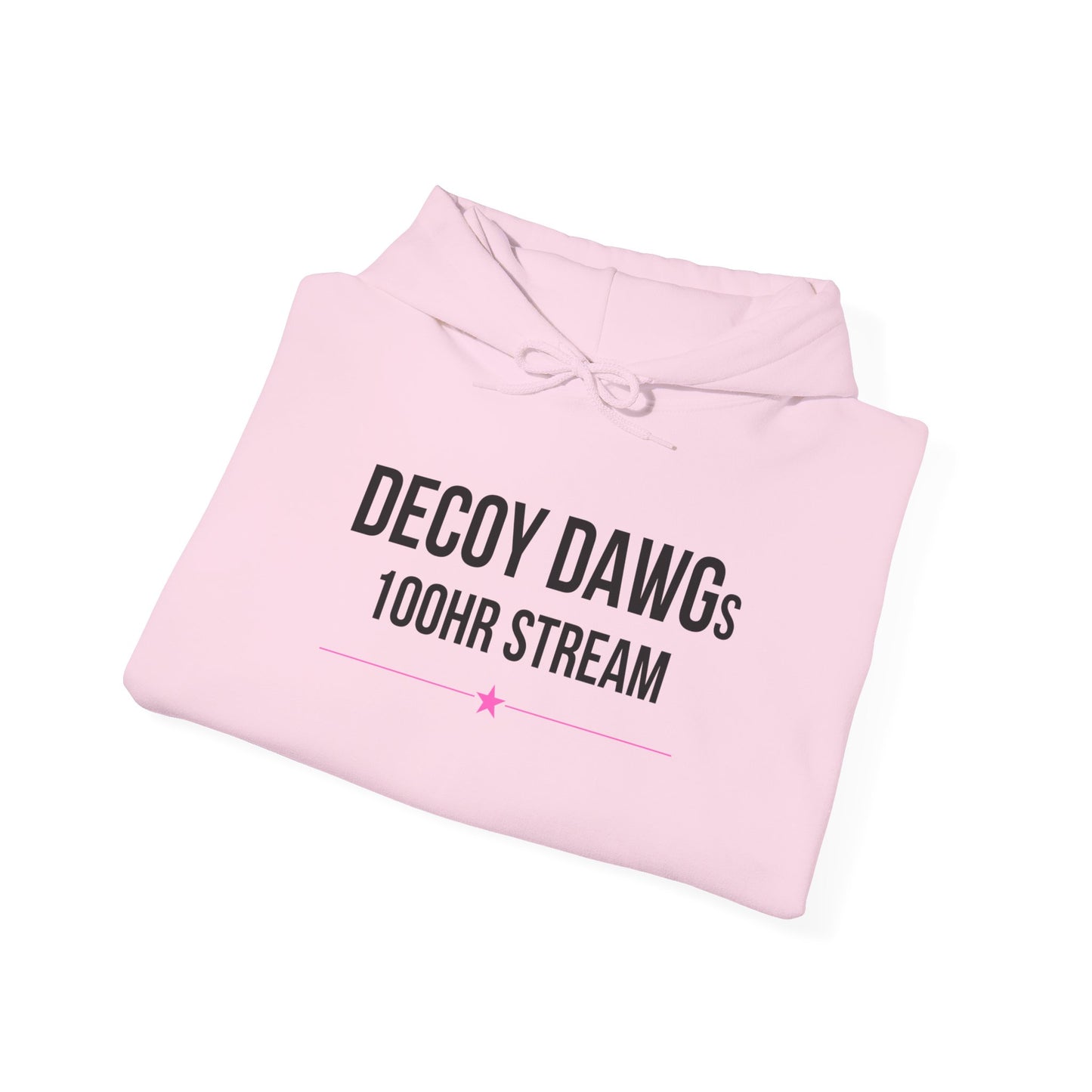Decoy Dawgs "I Survived the 100HR Stream" Hoodie