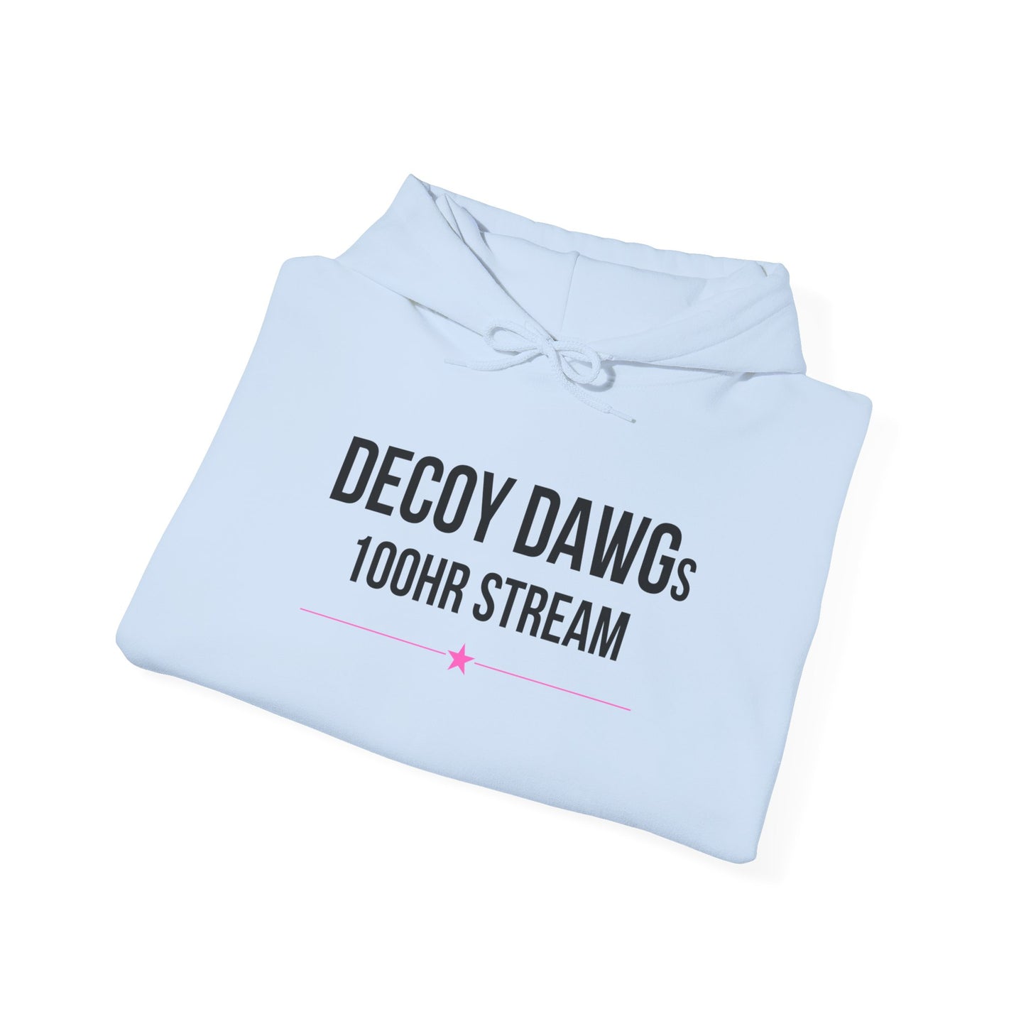 Decoy Dawgs "I Survived the 100HR Stream" Hoodie