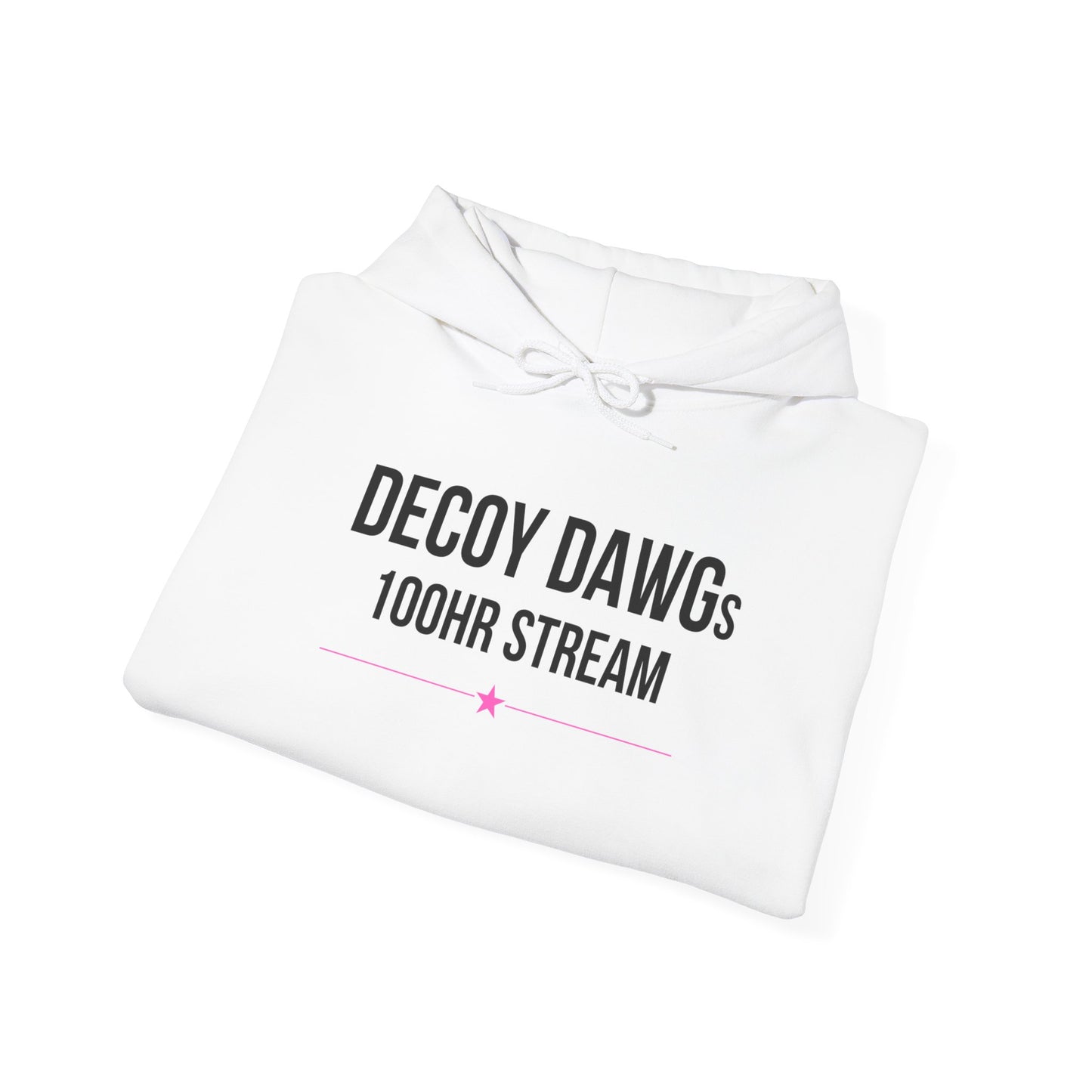 Decoy Dawgs "I Survived the 100HR Stream" Hoodie